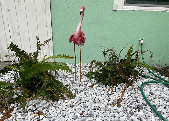 3Bdrm Fruit Tree Home Near Downtown Orlando