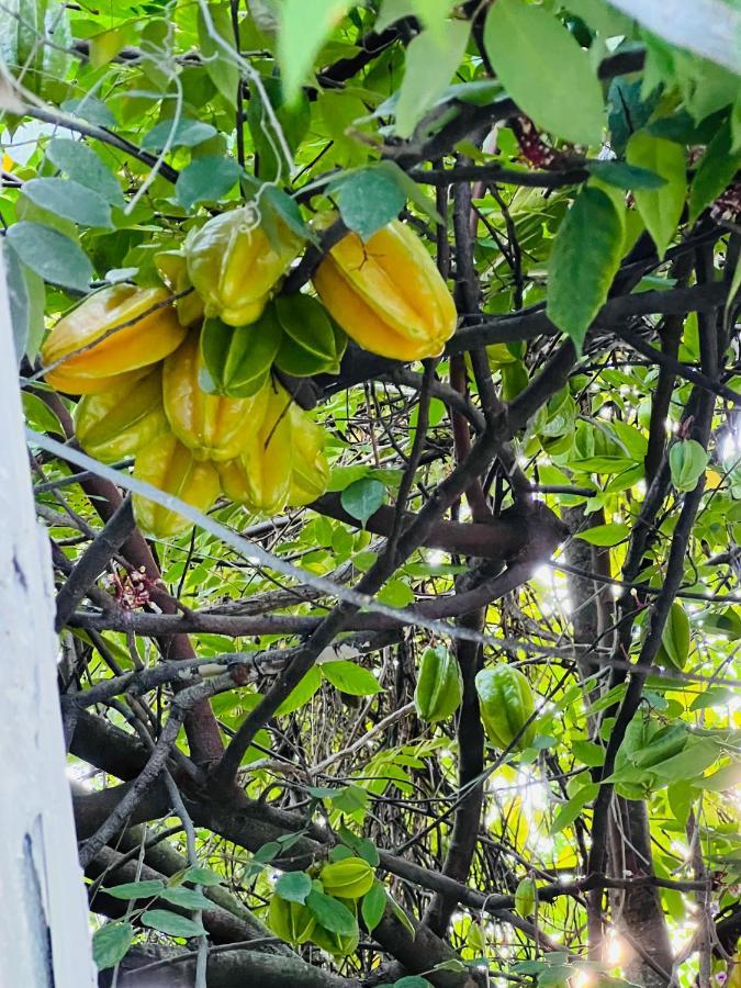 3bdrm Fruit Tree Near Downtown Hébergement de vacances