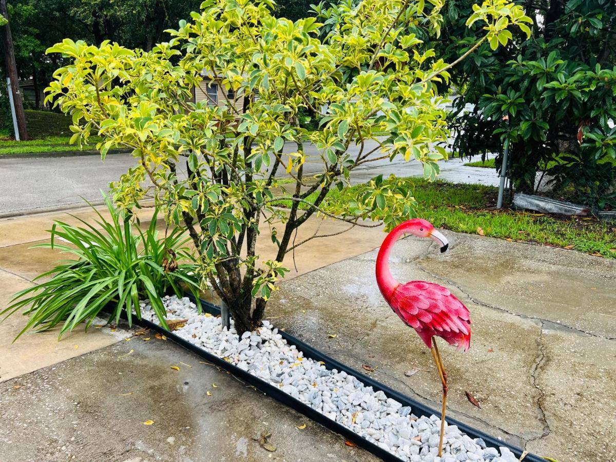 3bdrm Fruit Tree Near Downtown Hébergement de vacances Orlando