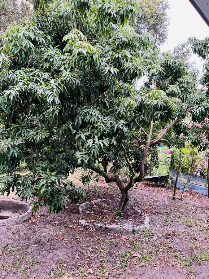 Hébergement de vacances 3bdrm Fruit Tree Near Downtown Orlando